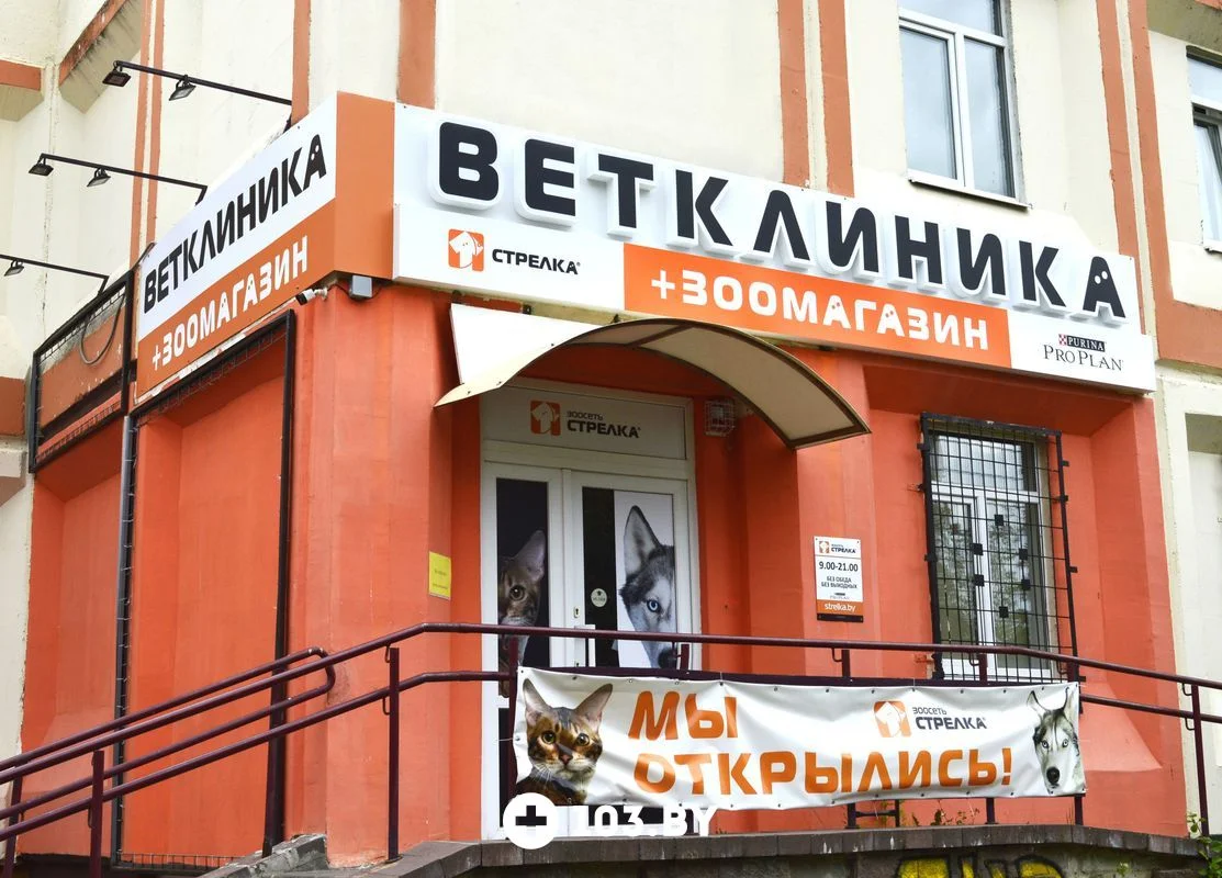 Зоосеть Стрелка