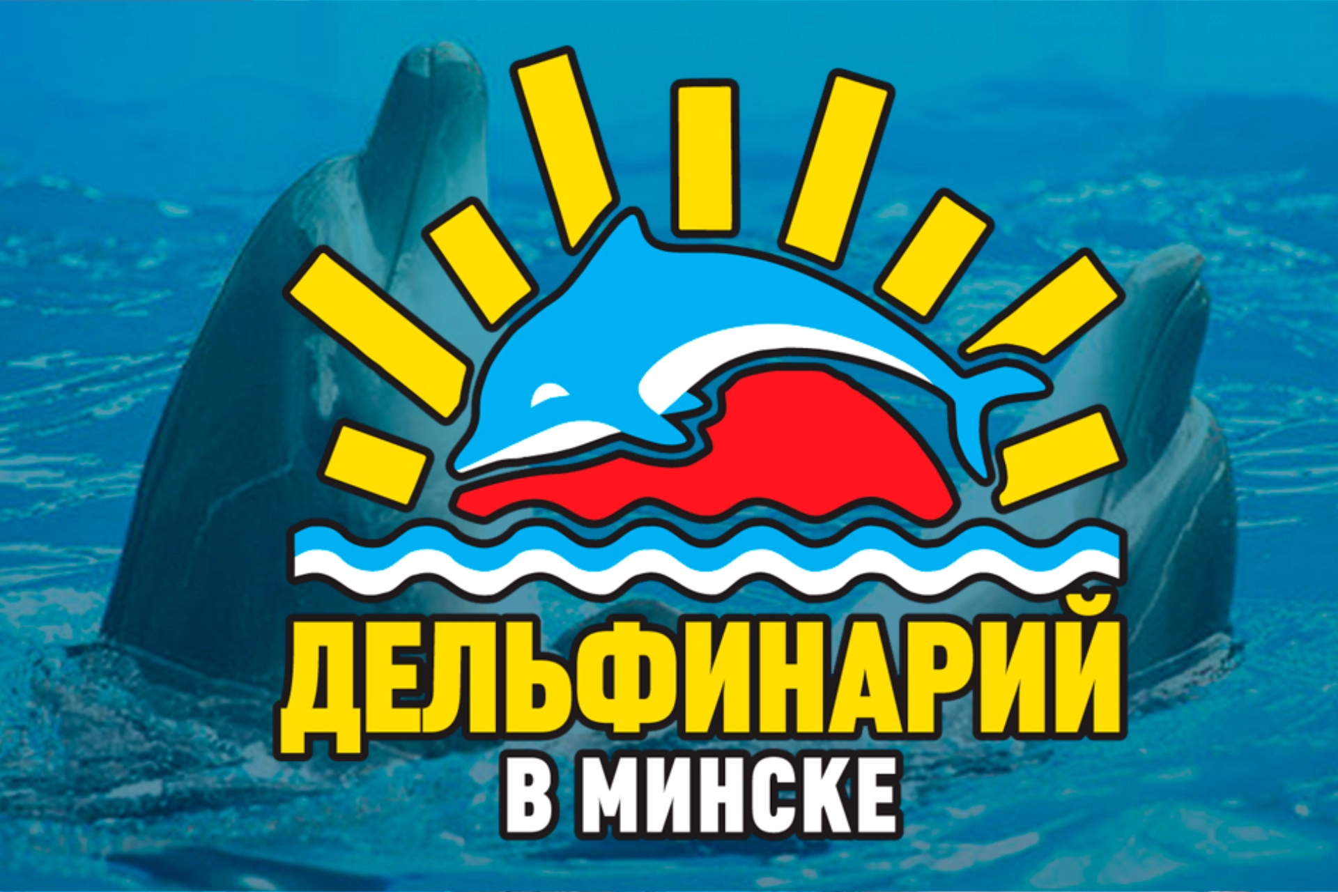 Минский дельфинарий