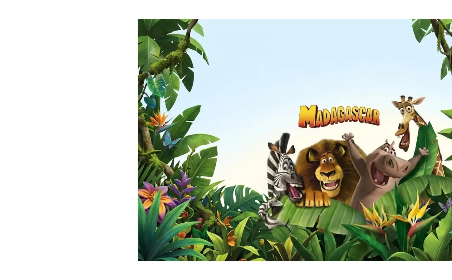 детский центр Madagaskar