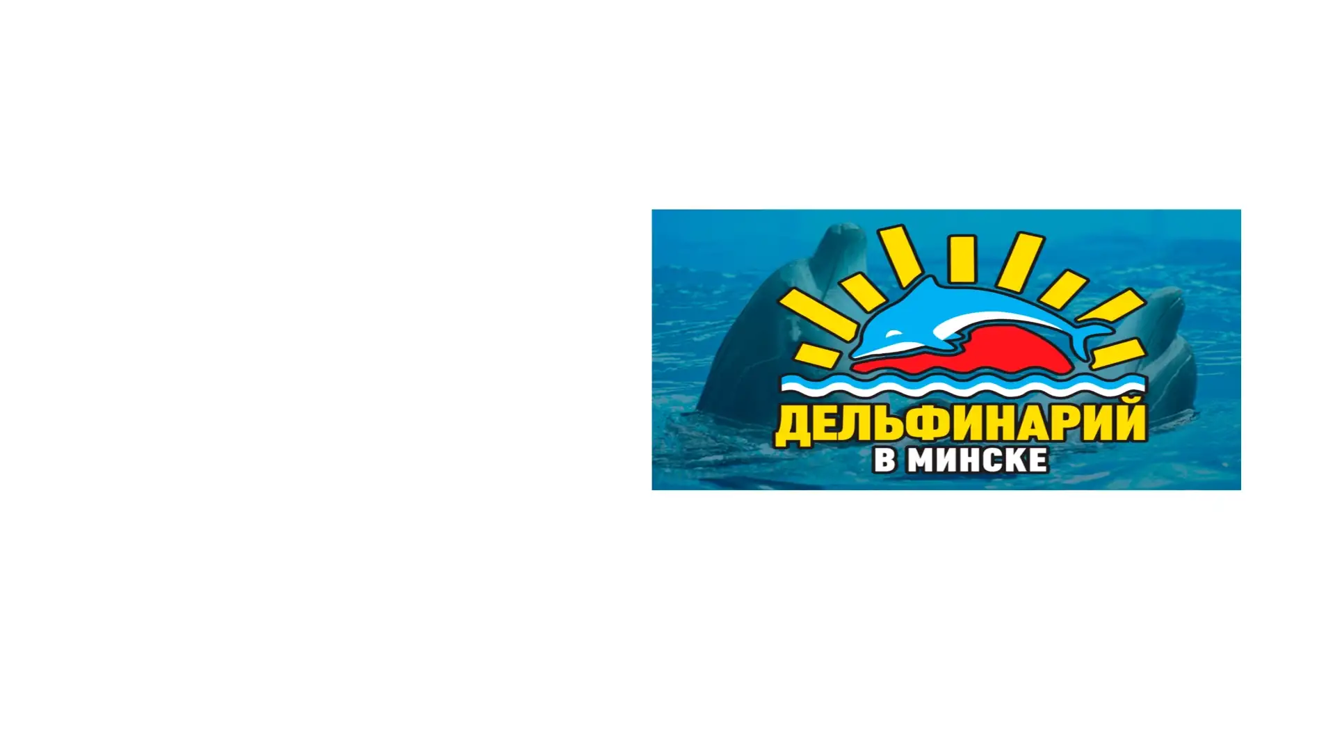 Минский дельфинарий