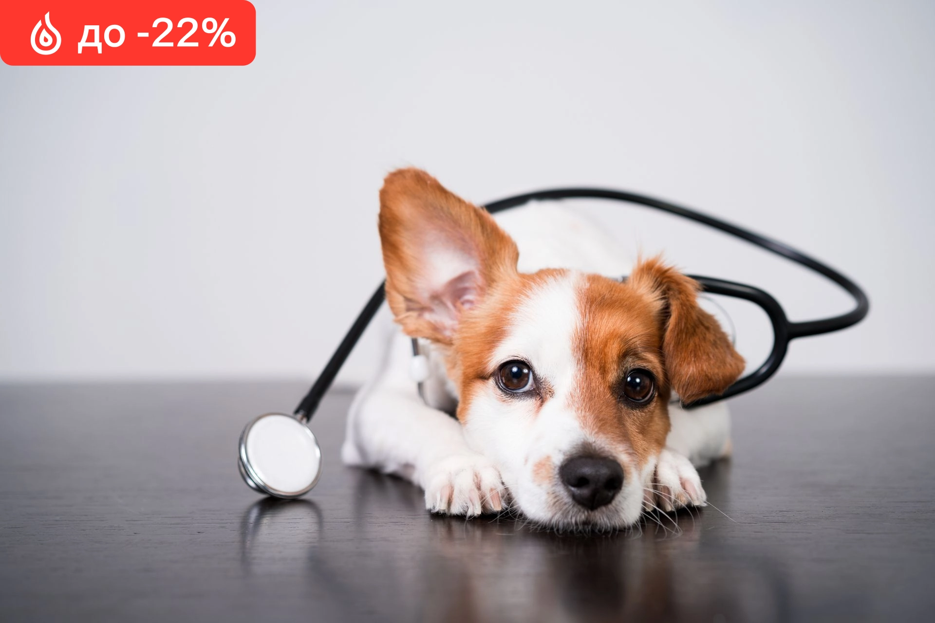 Скидка до 22% на ветеринарные услуги «Стрелка»
