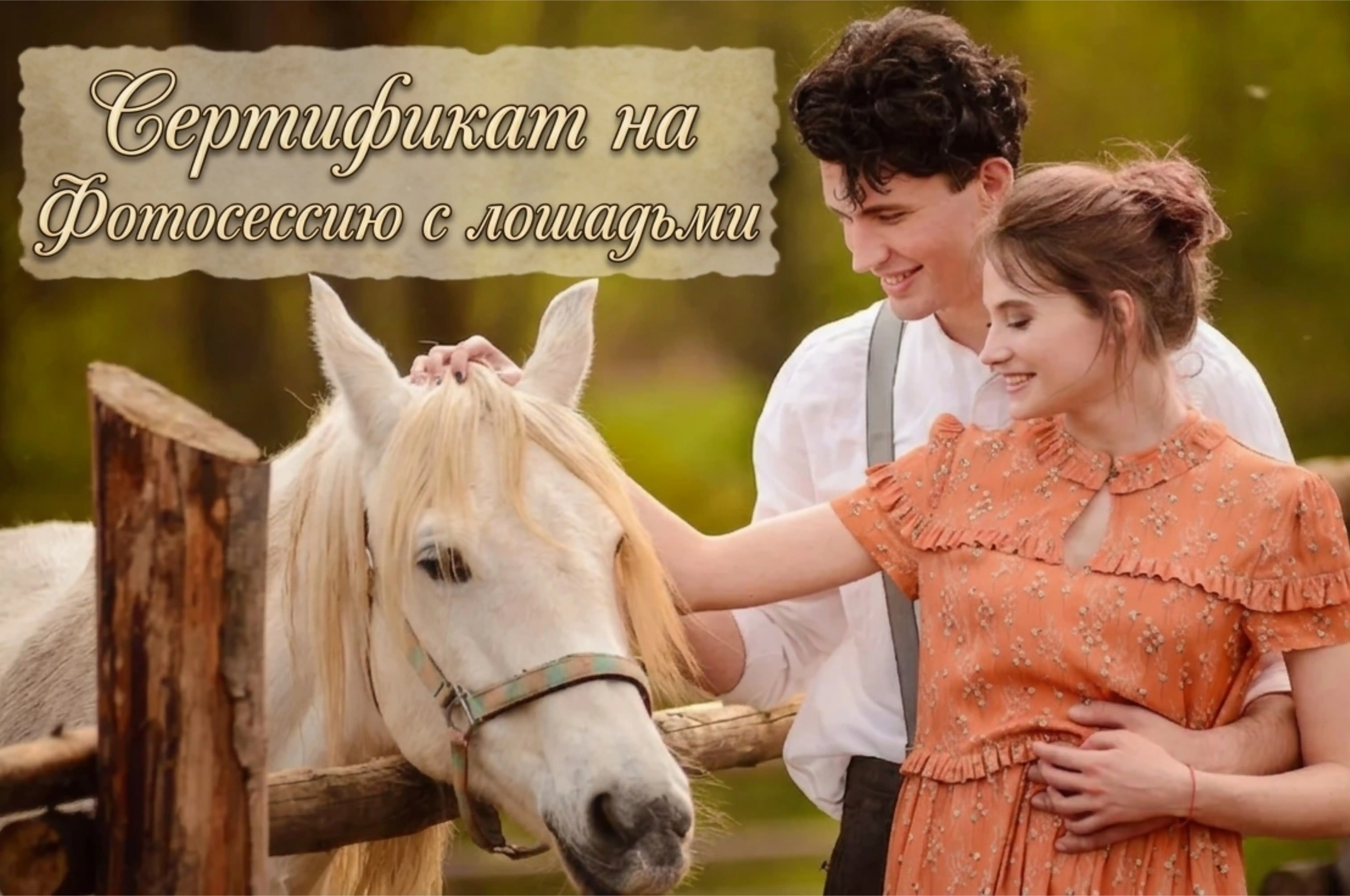 Сертификат на фотосессию с лошадьми