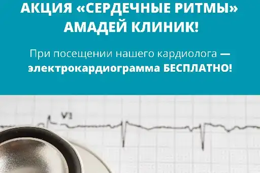Сердечные ритмы: ЭКГ с расшифровкой бесплатно при приёме кардиолога