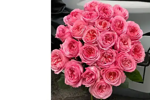 Букет размер L из пионовидных роз Pink X-pression  со скидкой 10%