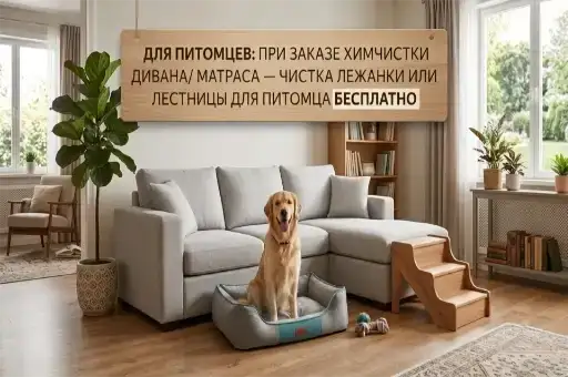 Для питомцев: при заказе химчистки дивана/ матраса — чистка лежанки или лестницы для питомца бесплатно!